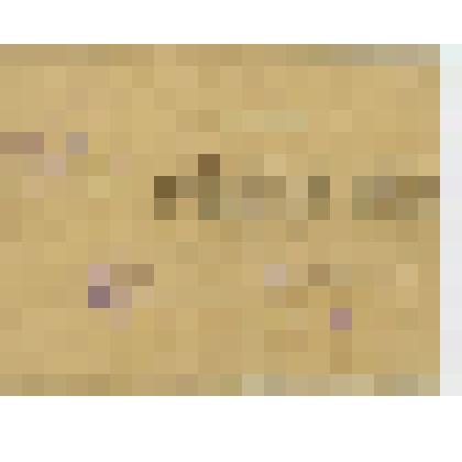 Справка Драницкой Л.С. об эвакуации в г. Энгельс вместе с дочерьми и внуком