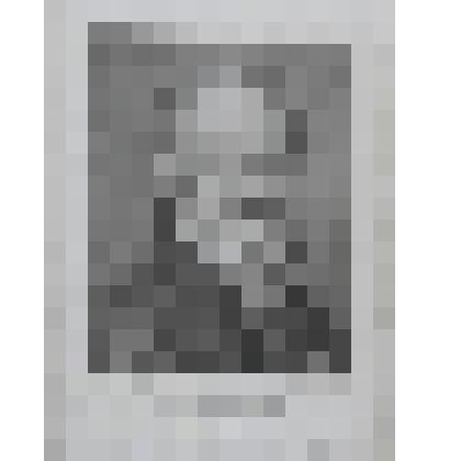 Портрет Фридриха Вильгельма, герцога Браншвейгского