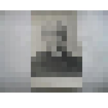 фотография. Павлова Дарья Степановна