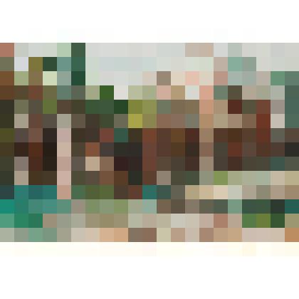 Медвежата играют