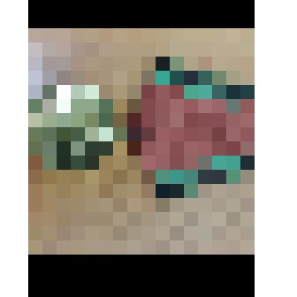 Юбилейная медаль "XX лет Победы в ВОВ 1941-1945 г." Мартынова С.В