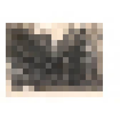 Фотография черно-белая сюжетная. На осмотре лесополосы