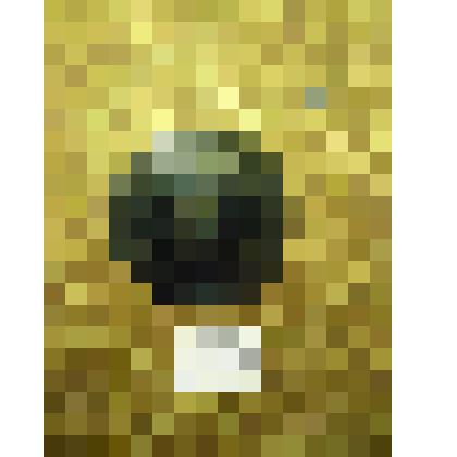 Грампластинка. Долгоиграющая. «Калинка»