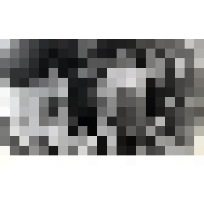 Фото групповое, композиционное. Ученики кировской детской художественной школы №1 на празднике в честь Нового года. Поселок Кукисвумчорр, декабрь 1986г