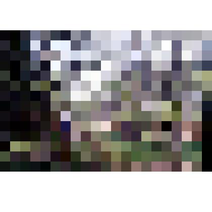 Диапозитив. Парк. (326)