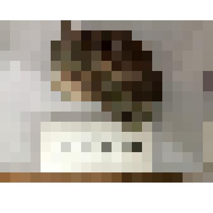 Гранат альмадин по авгиту