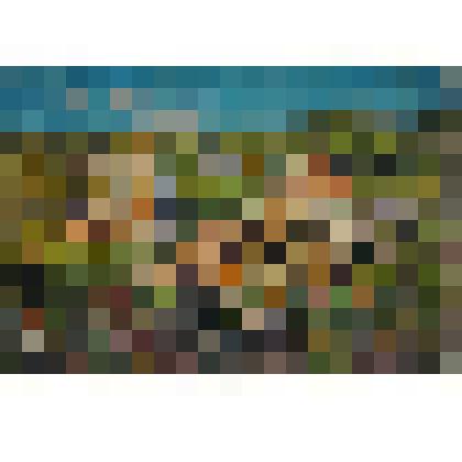 Тувинский пейзаж