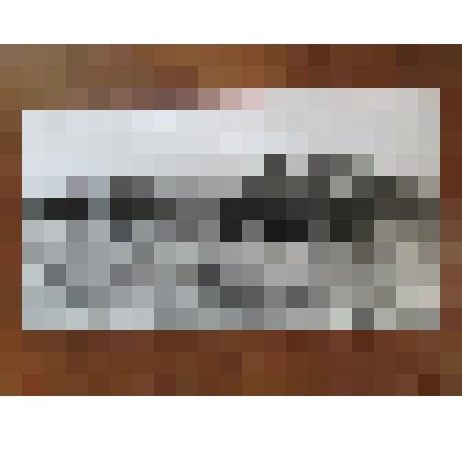 Фотография. Совхоз "Сотницынский", косовица кукурузы