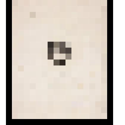 Гравюра. Женский портрет