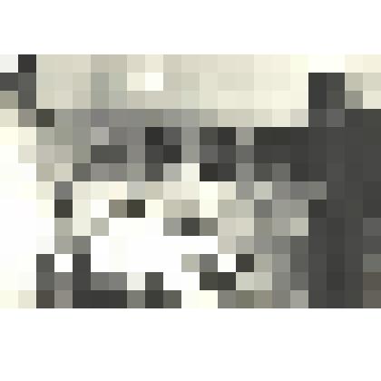 Фотографии. Фото ч/б Коллектив неврологического отделения Хакасской областной больницы.В центре зав.отделением Мутиц Б.Л. ноябрь 1992 г