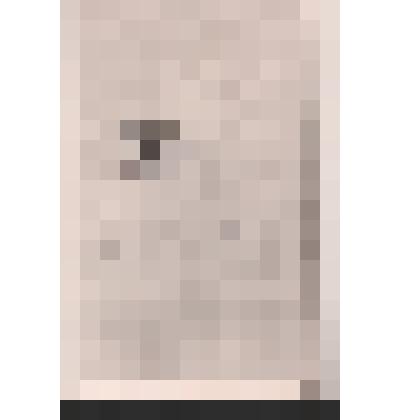 Фотокопия  с автографа стихотворения "Слышу ли голос твой..."