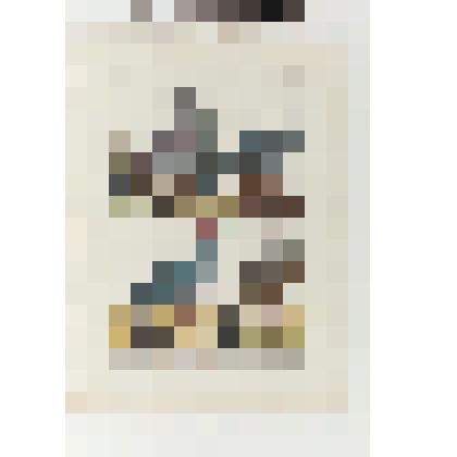 Гравюра. "Голуби". Лист из альбома « Естествознание. Орнитология.» (франц.яз)