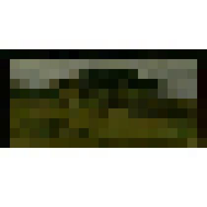 Последняя березка