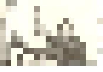 Фотография: Яковлев Николай Георгиевич, комбайнер совхоза "Рыбинский", передовик жатвы