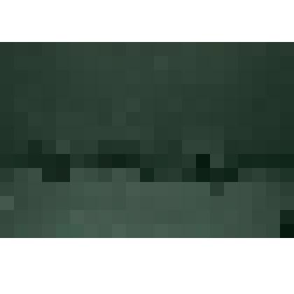 Негатив ч/б "Джебол"