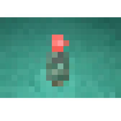 Склянка аптекарская