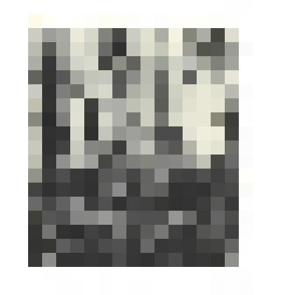 Фотографии. Фото ч/б. Митинг танкистов генерала Кривошеина у колонны победы в Берлине, 2 мая 1945 г