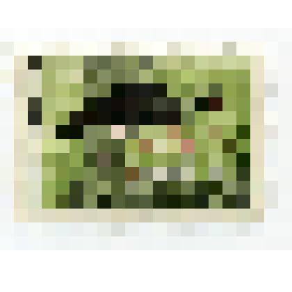 Марка почтовая. "Беловежская пуща. Черный аист". 4 копейки