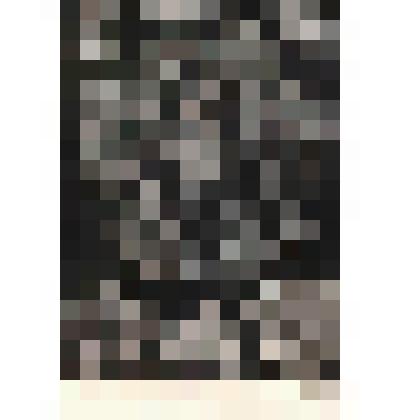 Иллюстрация. Таблица № 70. Выпуск "14-16".
 Из комплекта таблиц "Красота форм в природе"