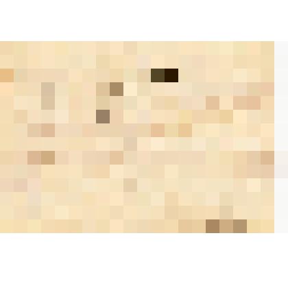 Телеграмма. Сельвинские. Адресат: Кассиль Лев Абрамович, г. Москва - г. Москва. Машинопись