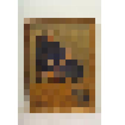 Дама в черном