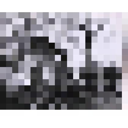 Фотография. Праздник улицы Максима Горького. Награждение жителей