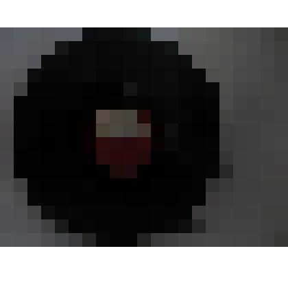 Грампластинка