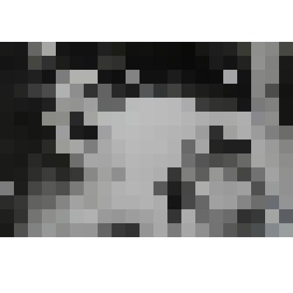 Фотография. "Приемный сын"