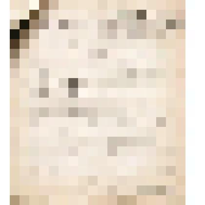 Телеграмма № 5910 в г. Чердынь В.Н.Алину от Шувалова из г. Перми, 21.09.1906 г