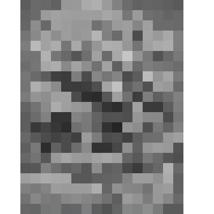 Видение Эзекиэля