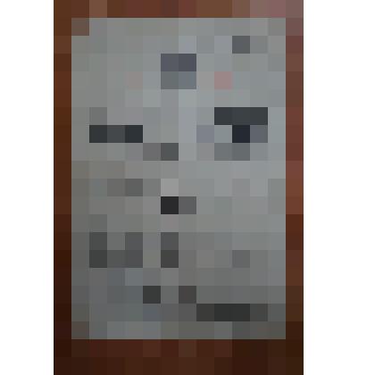 Удостоверение за участие в героической обороне Сталинграда гвардии рядового Злобина И.В