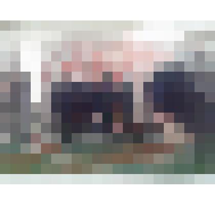 Фото групповое