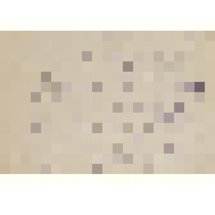 Набросок «Охотничьи байки»