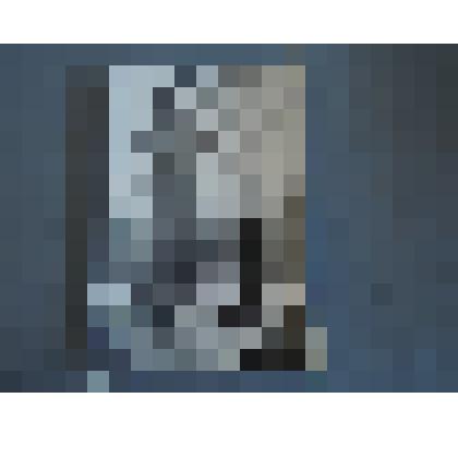 Фото событийное. На могиле В.Ф.Руднева