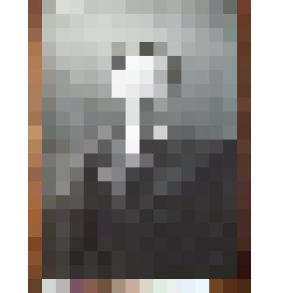 Фотография. Шмаков Т.И.-поэт