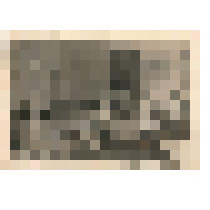 Фото. Палата госпиталя № 4650 г. Махачкалы, раненые, медсестры, 1943 г