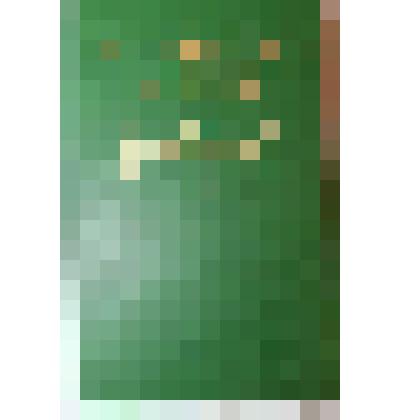 Книга "Сюжеты"