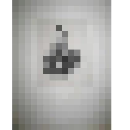 Портрет. Гагарин Григорий Григорьевич