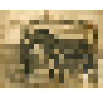 Фотография фронтовая