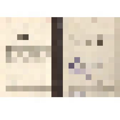 Свидетельство №242 об окончании Вечернего Университета Марксизма - Ленинизма Туз Иосифа Калиновича