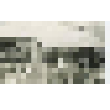 Фотография ч/б. Митинг в г. Зеленограде. 10 сентября 1966 г