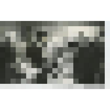 Фотокопия ч/б. Спортсмены Колчины П.К. и А.П. на просмотре фильма "Ход Белой Королевы" в кинотеатре "Октябрь" в Москве. 1972 г