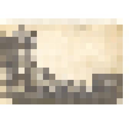 Фотооткрытка: дом купца Зорина по улице Главной с.Камень Барнаульского уезда Томской губернии