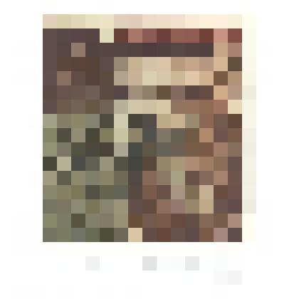 EX LIBRIS “COMUNE DI ALBISSOLA MARINA. PAPA GIULIO II”. 2004