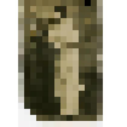 Фотография. Портрет П.А. Шипкиной (Лукьяновой)