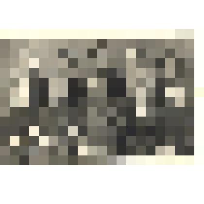 Фотография: бригада коммунистического труда Каменского маслосыркомбината