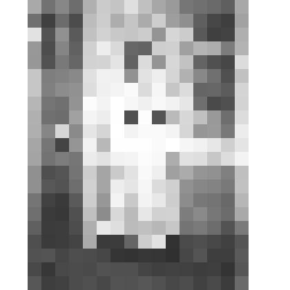 Плотникова Т.А