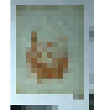 Лысый старик. Коллекция И.С. Зильберштейна, гравюра