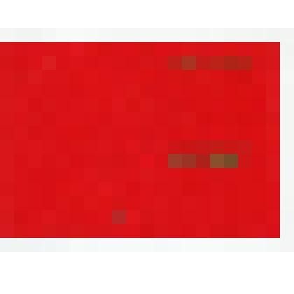 Удостоверение Симаненка В.П. к Памятной медали «95 лет Ленинскому  комсомолу»