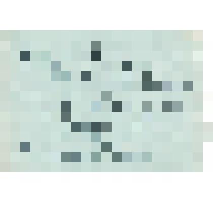 Поздравление. Алтаев. Адресат: Кассиль Лев Абрамович. СССР - г. Москва. Беловой автограф